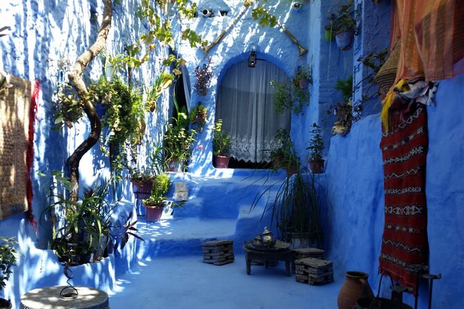 Private Morocco Tour Full 10 Days From Tangier - Reviews