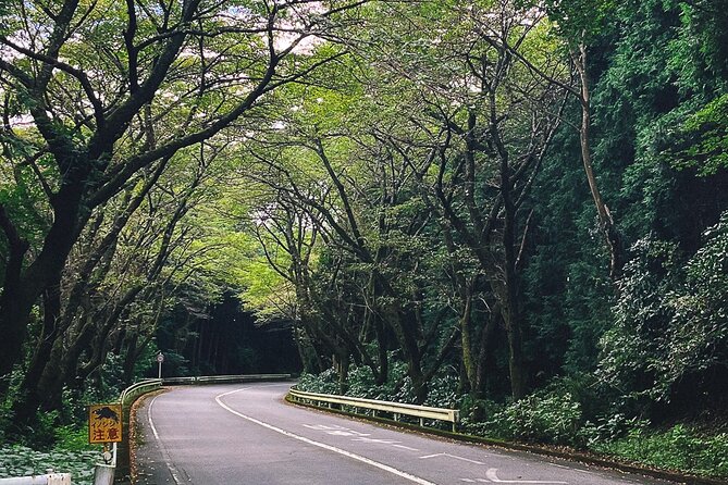 Private Motorcycle Day Tour to Fuji and Hakone: Onsen and Nature - Confirmation and Accessibility