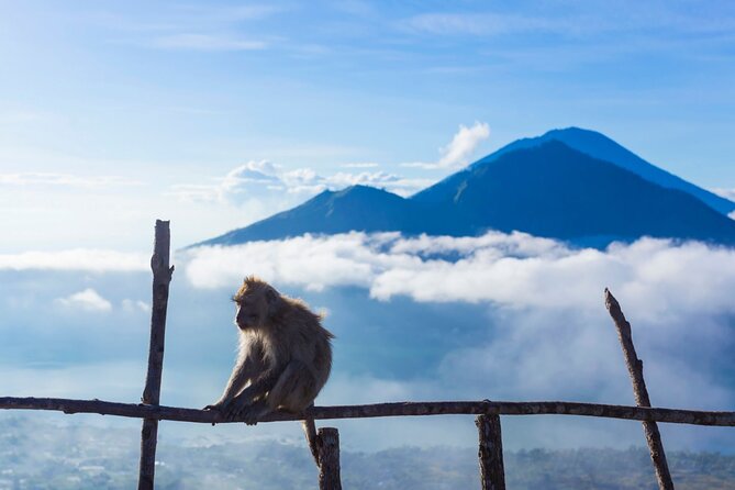 Private Mount Batur Sunrise Trekking Tour - Booking and Confirmation