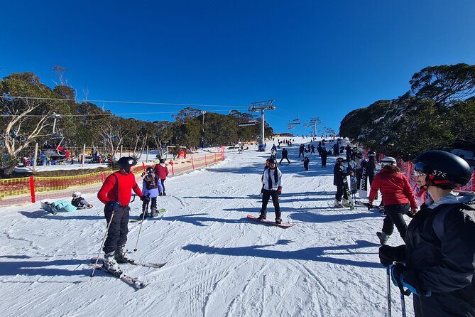 Private Mount Buller Snow and Ski Tour From Melbourne - Reviews and Feedback
