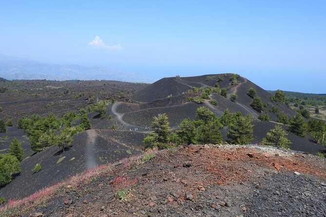 Private Mount Etna Full-Day Hike From a Refuge - Booking and Cancellation Policy