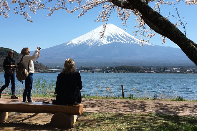 Private Mount Fuji and Hakone 1-Day Sightseeing Tour With Guide - Key Points