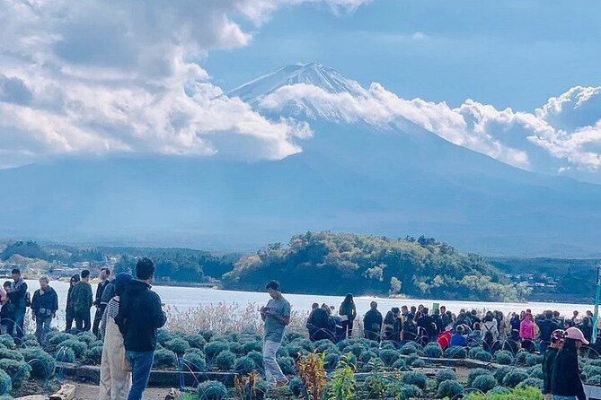 Private Mount Fuji and Hakone 1-Day Sightseeing Tour With Guide - Tour Pricing