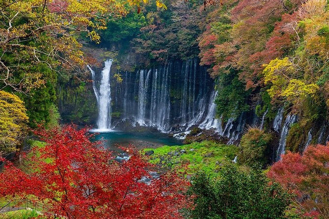 Private Mount Fuji and Hakone City Tour From Tokyo - Meeting and Pickup