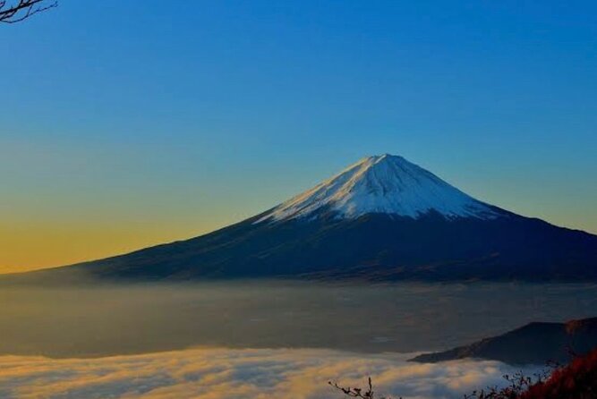 Private Mount Fuji and Hakone City Tour From Tokyo - Tour Details