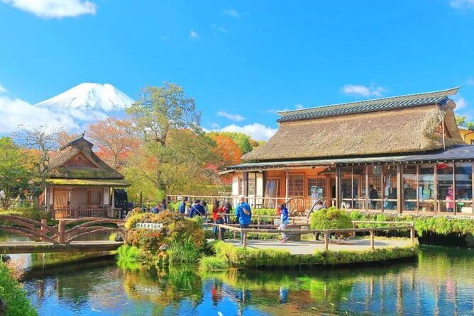 Private Mount Fuji and Hakone One Day Tour - Inclusions