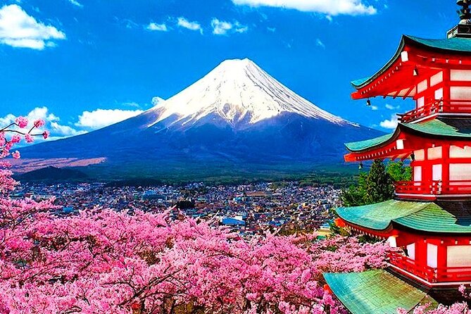 Private Mount Fuji and Hakone Sightseeing Day Trip With Guide - Meeting and Pickup Details