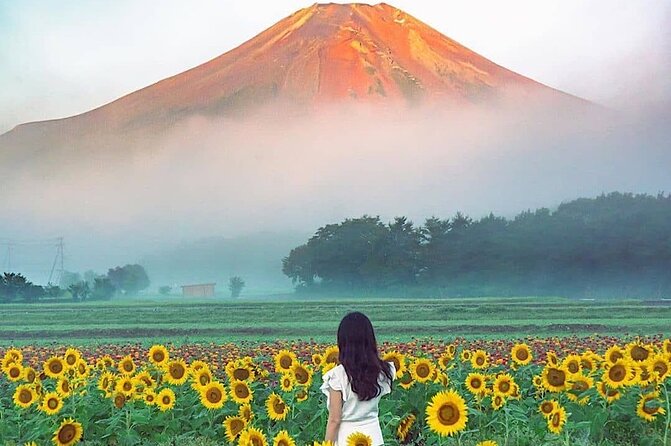 Private Mount Fuji and Hakone Sightseeing Day Trip With Guide - Tour Itinerary and Duration