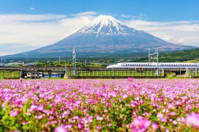Private Mount Fuji and Hakone Sightseeing Day Trip With Guide - Accessibility and Participation