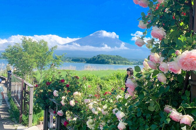 Private Mount Fuji and Hakone Sightseeing Day Trip With Guide - Pricing and Booking
