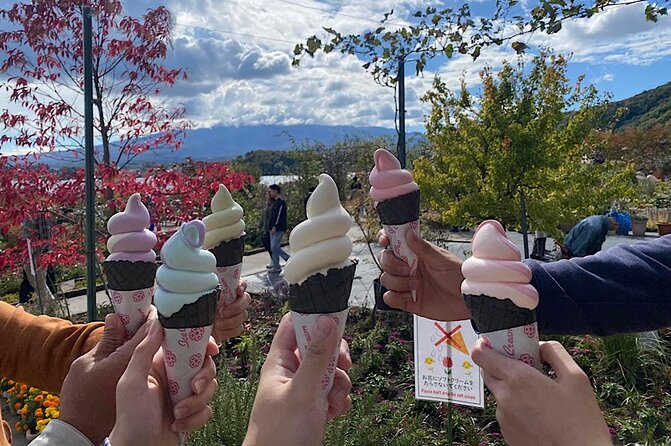 Private Mount Fuji and Hakone Sightseeing Day Trip With Guide - Cancellation and Refund Policy