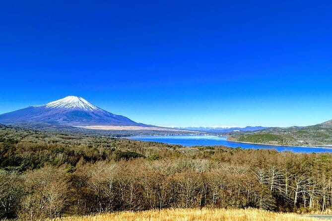 Private Mount Fuji Day Trip From Tokyo by Car - Key Points