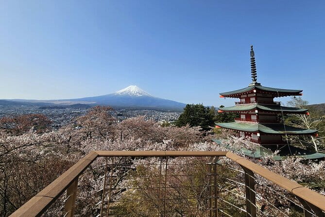 Private Mount Fuji Day Trip From Tokyo by Car - Meeting and Pickup Details