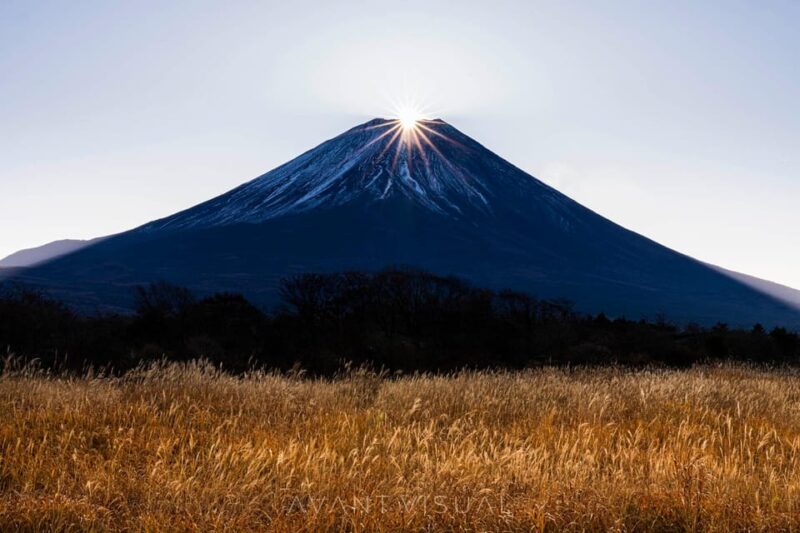 Private Mount Fuji ,Hakone Sightseeing Day Trip With Guide - Highlights