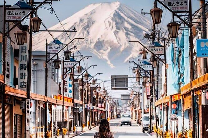 Private Mount Fuji Sightseeing Day Trip With Guide - Pricing and Fees