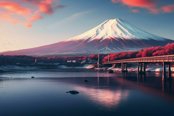 Private Mount Fuji Tours With Car Pickup From Tokyo - Pickup and Meeting Information