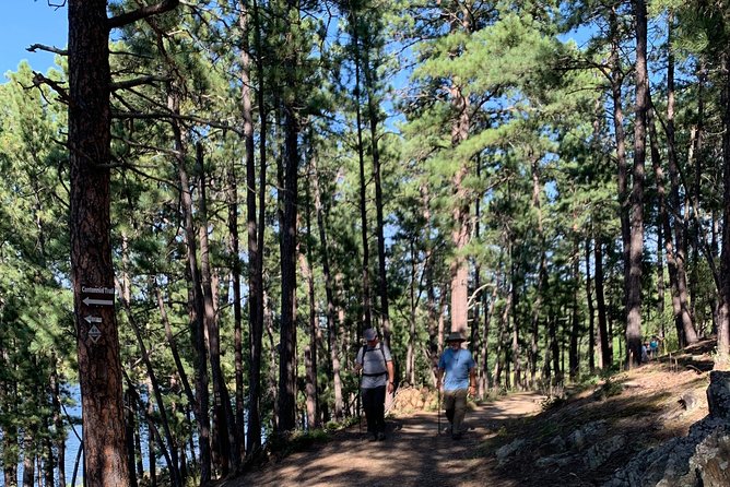 Private Mount Rushmore and Flume Trail Hike - Meeting and Pickup