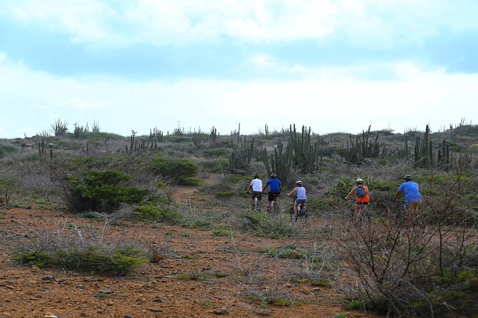 Private Mountain Bike Tour in Aruba - Health and Fitness Requirements