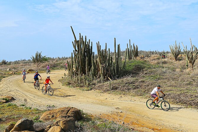 Private Mountain Bike Tour in Aruba - Personalized Attention From Guides