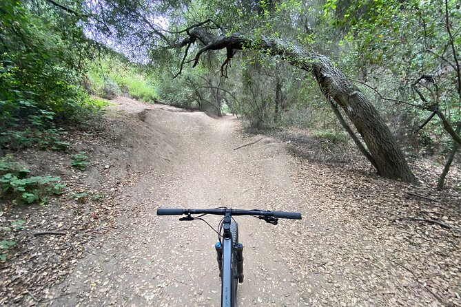 Private Mountain Biking Adventure in San Diego - What to Expect on the Tour