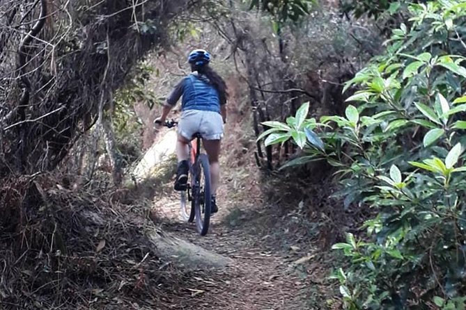 Private Mountain Biking Adventure in Sintra Cascais Park - Experience Duration and Start Time