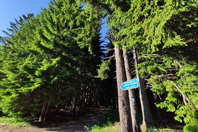 Private Mountain Biking in Vitosha From Sofia - Departing From Yarlovo Village