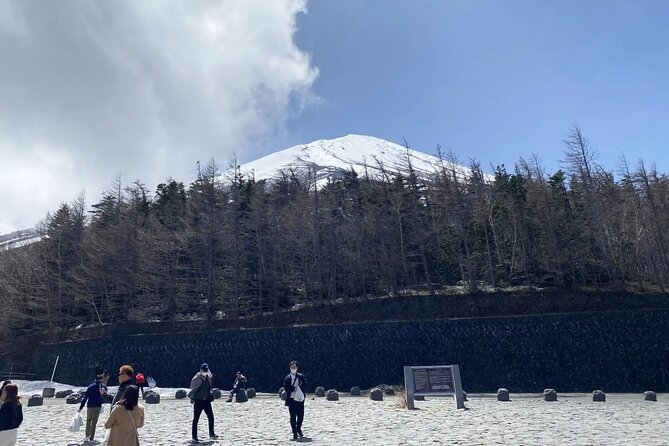 Private Mt Fuji and Hakone Day Tour From Tokyo - Transportation Arrangements