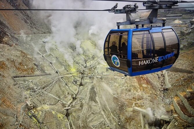 Private Mt Fuji and Hakone Day Tour From Tokyo - Tour Capacity