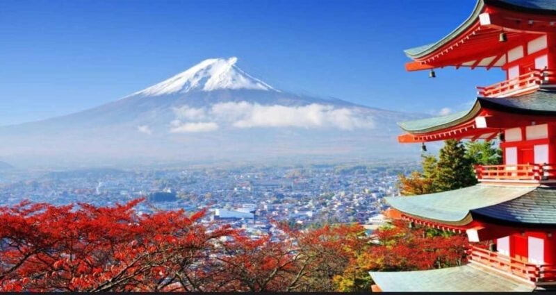 Private Mt. Fuji and Hakone Day Trip With Guide - Highlights of the Itinerary