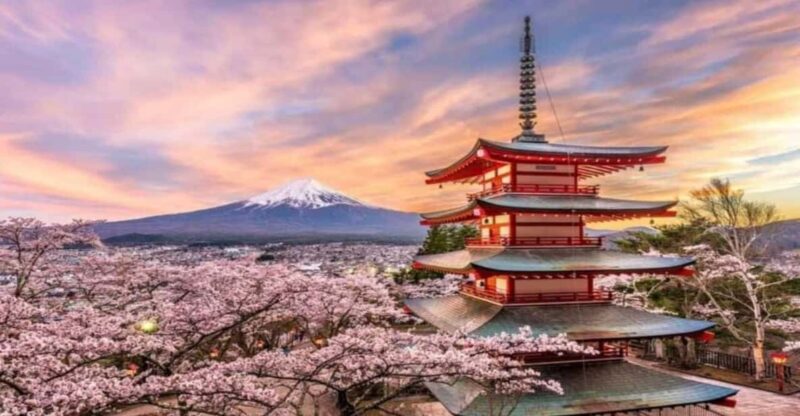 Private Mt. Fuji and Hakone Day Trip With Guide - Inclusions and Exclusions of the Tour