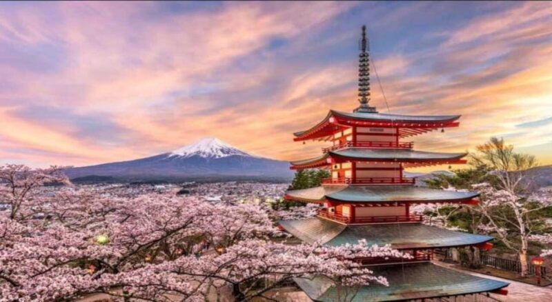 Private Mt. Fuji and Hakone Day Trip With Guide - Booking and Reservation Details