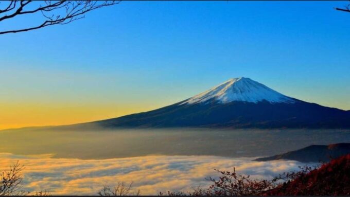 Private Mt. Fuji and Hakone Day Trip With Guide - Panoramic Views and Cherry Blossoms at Arakura Sengen Park