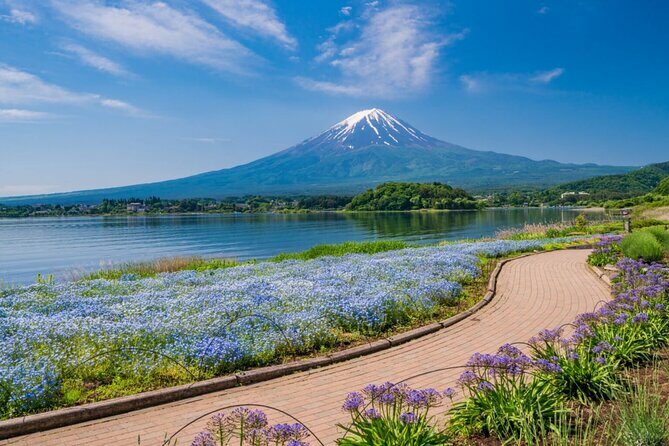 Private Mt Fuji Tour with English Speaking Driver - Key Points