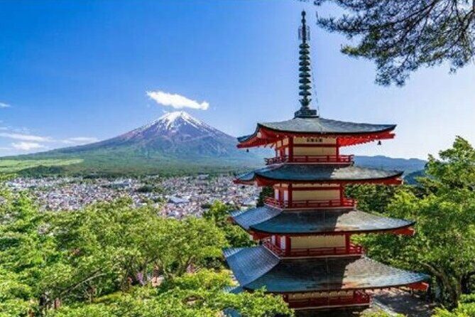 Private Mt Fuji Tour with English Speaking Driver - The Itinerary: What to Expect from Start to Finish