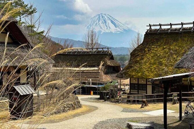 Private Mt Fuji Tour with English Speaking Driver - The Sum Up