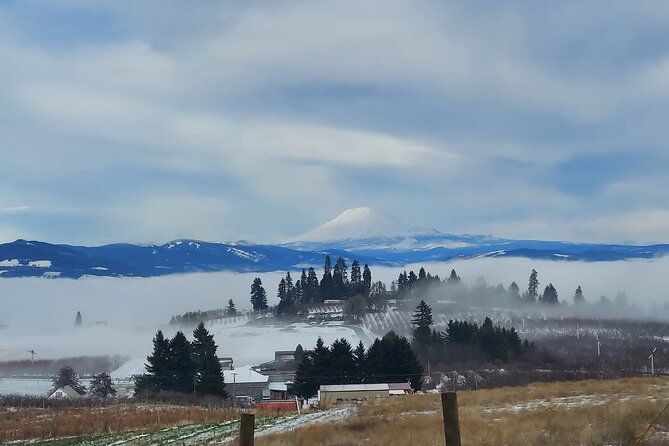 Private Mt Hood Waterfall Tour With Lunch and Wine Included - Vineyard Visits and Wine Tasting