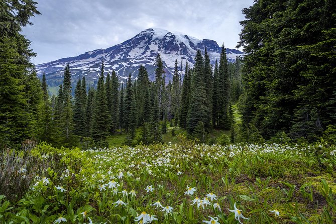 Private Mt Rainier National Park Day Trip From Seattle - Pickup and Drop-off Details