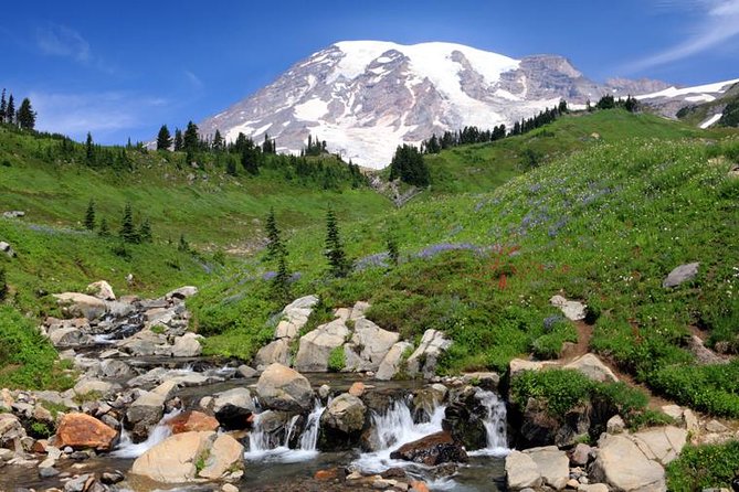Private Mt Rainier National Park Day Trip From Seattle - Highlights of the Tour