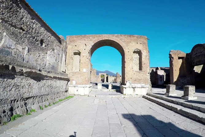 Private Mt Vesuvius and Pompeii With Lunch and Wine Farm Experience - Highlights of the Experience