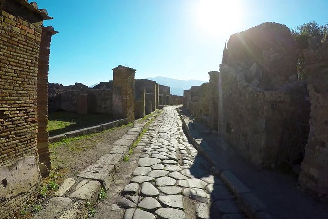 Private Mt Vesuvius and Pompeii With Lunch and Wine Farm Experience - Discovering Pompeiis Ruins