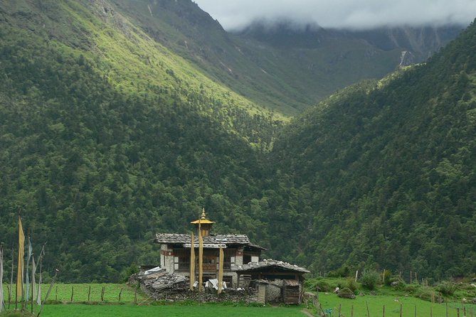 Private Multi-Day Bhutan Tour: Paro, Taktsang Monastery, Thimphu - Thimphu Sightseeing