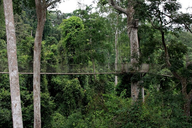 Private Multi-Day Ghana Tour About Culture History and Wildlife - 7 Days - Opening Hours