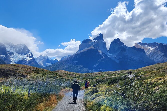 Private Multi-Day Guided Tour Torres Del Paine - Private Transportation and Guided Experiences