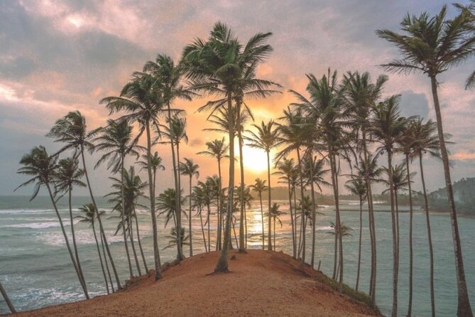 Private Multi-Day Tour Experience in Sri Lanka With Private Driver - Pricing