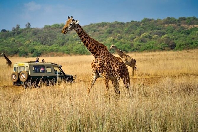 Private Multi-Day Tour in Tanzania Safari - Tour Customization Options