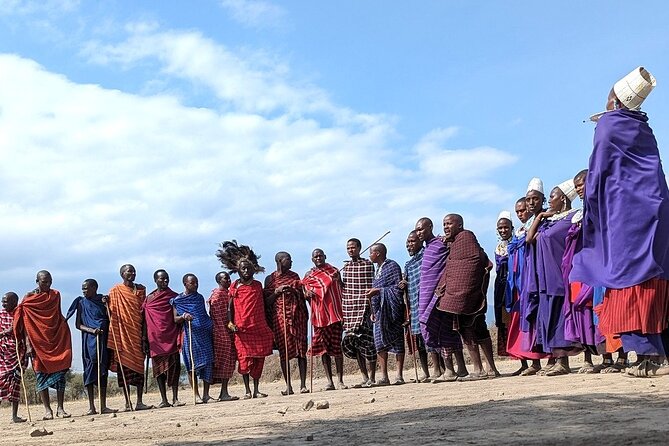 Private Multi Day Tour Tanzania Safari - Inclusions