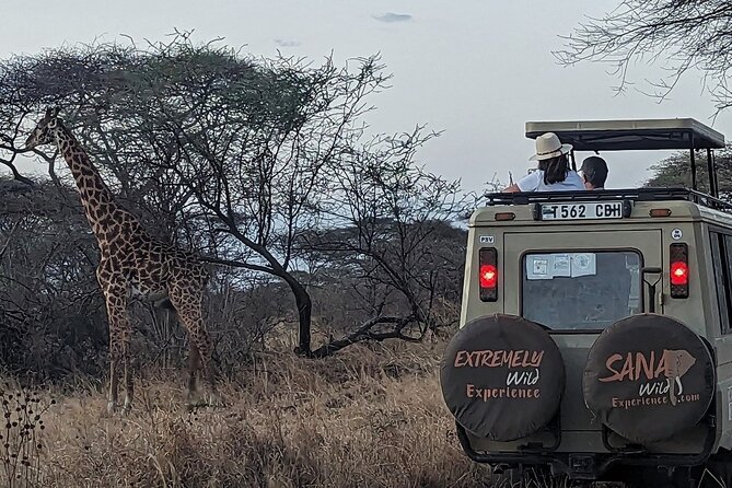 Private Multi Day Tour Tanzania Safari - Meeting and Pickup