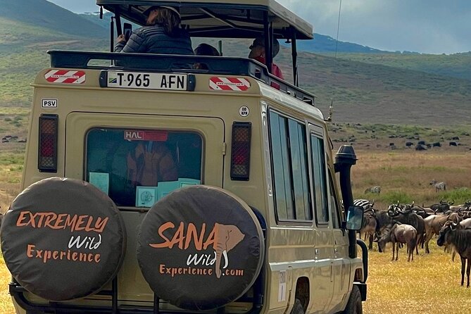 Private Multi Day Tour Tanzania Safari - Meals and Beverages