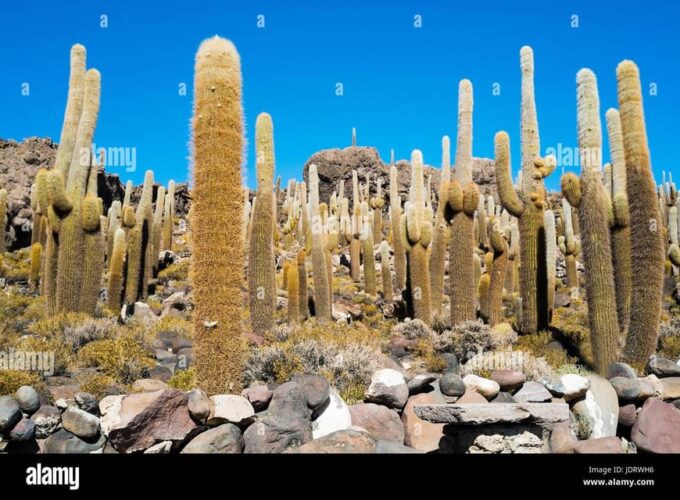 Private Multi-Day Tour to the Salar De Uyuni in Bolivia - Tour Duration