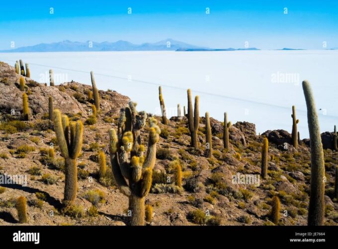 Private Multi-Day Tour to the Salar De Uyuni in Bolivia - Frequently Asked Questions